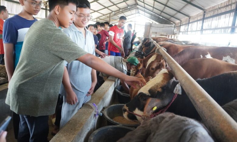 Qurban AABS