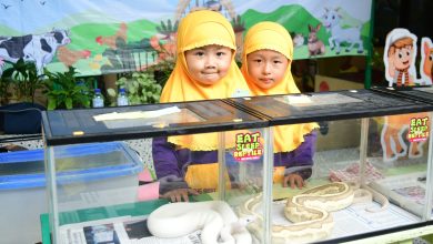 Kenalkan hewan melalui Zoo Explore TK Situbondo