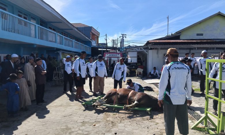 Semangat Idul Adha 1446 H, Al Irsyad Banjarmasin sembelih 9 hewan qurban & bagikan 900 paket daging untuk warga dan kaum dhuafa.